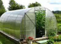 программа Загородная жизнь: Теплица на радость 5 серия