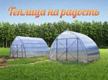 Теплица-на-радость-Боремся-с-нематодой-Собираем-урожай