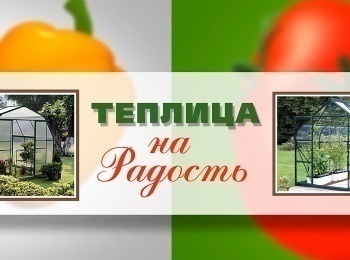 программа Загородная жизнь: Теплица на радость Моем теплицу после зимы