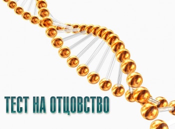 программа Домашний: Тест на отцовство 272 серия