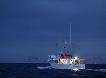 Техасский-улов-Море-рыбы-и-ни-одной-поклевки