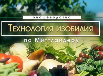 программа Три Ангела: Технология изобилия Уход за растениями в огороде
