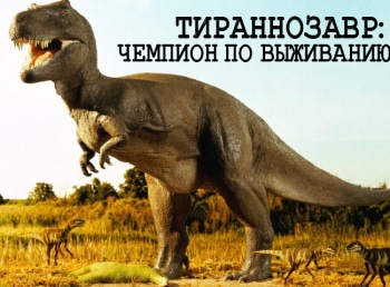 Тираннозавр:-чемпион-по-выживанию
