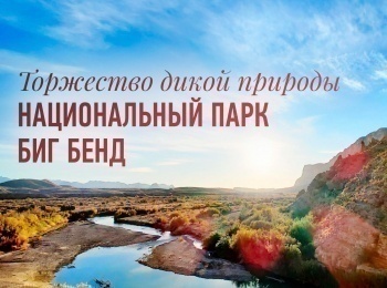 программа Культура: Торжество дикой природы Национальный парк Биг Бенд