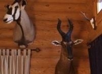 программа Охота: Трофеи 12 серия