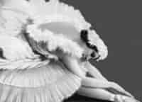 программа ОТР: Тысяча вызовов на бис Русский балет