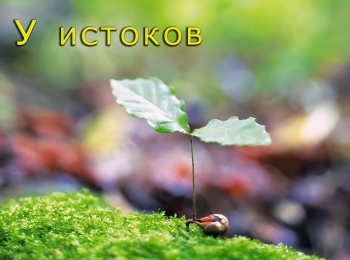 программа Психология 21: У истоков Эпизод 20 й