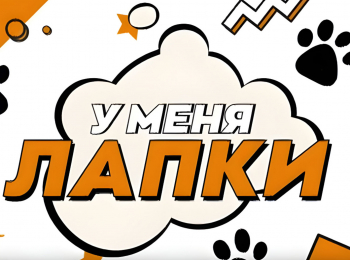 программа Карусель: У меня лапки 14 серия
