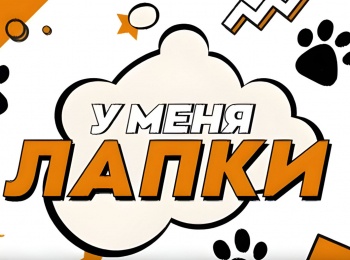 программа Карусель: У меня лапки 29 серия