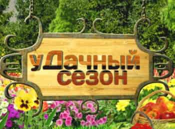 программа Теледом: уДачный сезон