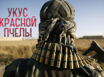 программа Центральное телевидение: Укус красной пчелы