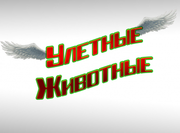Улетные-животные-33-серия