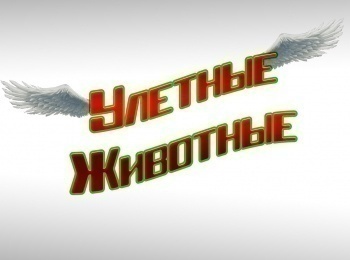 Улетные-животные-37-серия