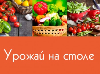 Урожай-на-столе-31-серия