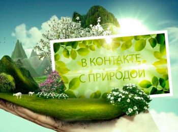 В-контакте-с-природой-Возвращение-птиц