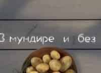 В-мундире-и-без-Картофельно-мясные-колобки-с-луково-чесночным-соусом