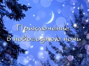 программа ТНВ-планета: В Новогоднюю ночь