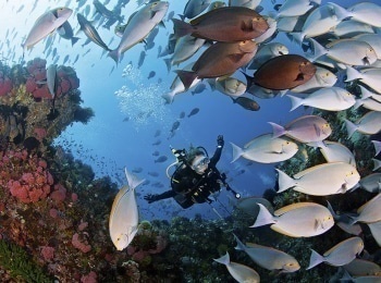 В-отрыв!-Гавайи