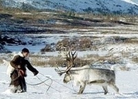 В-погоне-за-белым-оленем