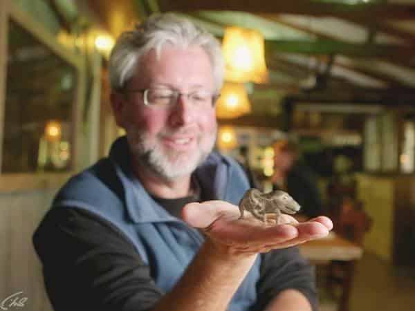 Ваша-внутренняя-рыба-2-серия-Внутренняя-рептилия