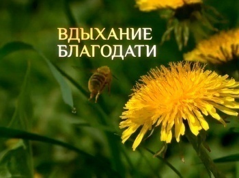 Вдыхание-благодати-Наша-нужда-в-молитве