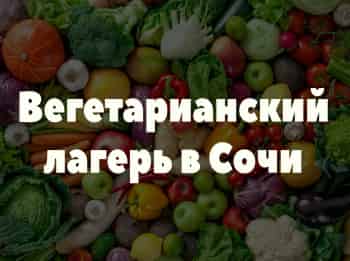 программа Первый вегетарианский: Вегетарианский лагерь в Сочи 2 серия