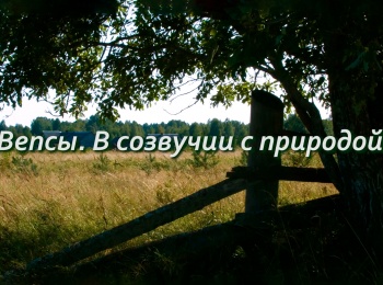 Вепсы