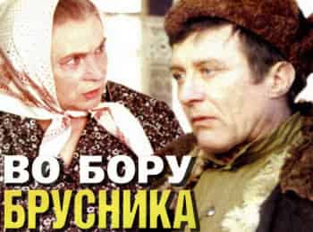 программа Ретро: Во бору брусника Незамужняя жена