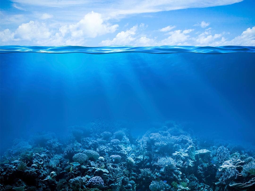 Вода-линия-жизни-На-морском-дне