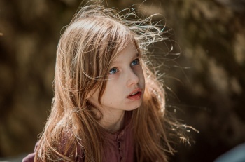 Волшебник Изумрудного города. Дорога из желтого кирпича кадры