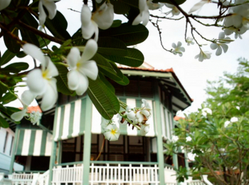 Вот-это-дом!-Дом-архив