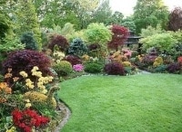 Возрождение сада кадры