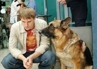 Возвращение-Мухтара-2-Черное-золото