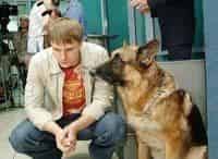 Возвращение-Мухтара-2-Понятой,-Суета-вокруг-дивана