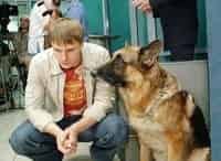 Возвращение-Мухтара-2-Похититель-музея