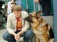 Возвращение-Мухтара-2-Тайник,-или-Вдова-полковника,-Блинодел