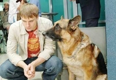 Оксана Сташенко и фильм Возвращение Мухтара (2003)