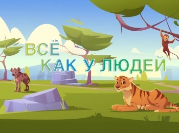 программа БелРос: Все как у людей 8 серия