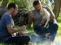 Вверх-по-реке