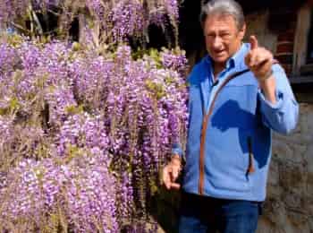 Вынужденные-посадки-с-Аланом-Титчмаршем-Огород