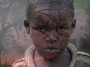 Вызов-Гарамбы-1-серия