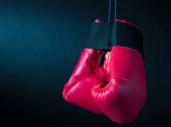 программа Fight Box: WGP Kickboxing Brazil 15 серия