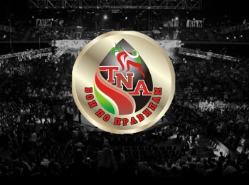 программа Fight Box: World Grand Prix Fight TNA, финал, Кубок Татнефть, Татнефть Арена, Казань, Россия