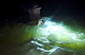 программа Киноужас: Хищные воды: Западня