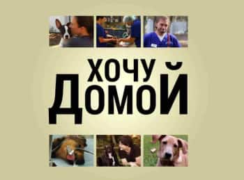 программа РазТВ: Хочу домой!