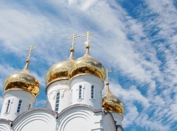 программа Три Ангела: Я могу, и ты сможешь Выращивание петуний Теория первая часть