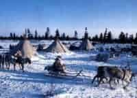 программа Russian Travel Guide (RTG): Ямал