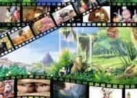 программа СТС: Забавные истории