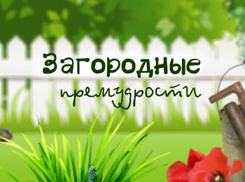 программа Загородная жизнь: Загородные премудрости Обрезка садовых деревьев и кустарников Яблони