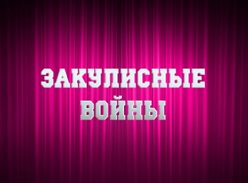 программа ТВ Центр (ТВЦ): Закулисные войны Юмористы